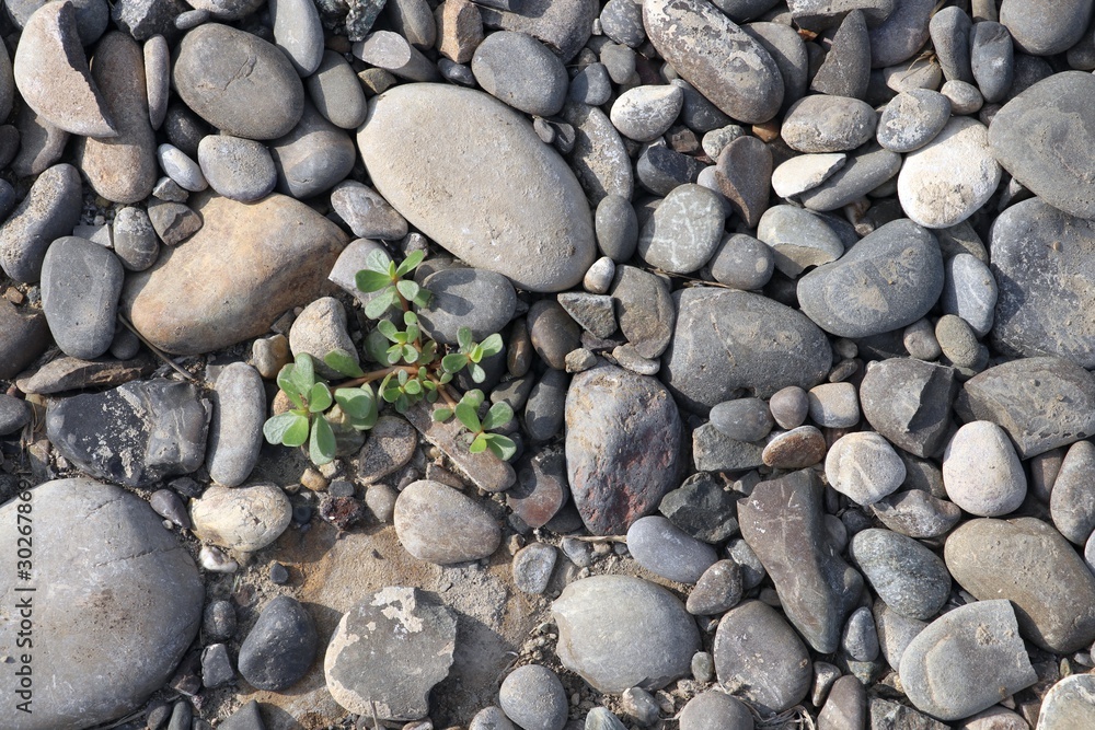Limestone and granite gravel background Limestone and granite gravel background