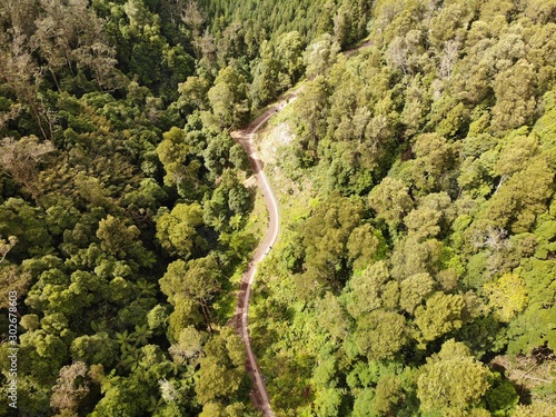 The Road in the forest to the hot springs