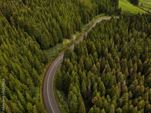 The winding mountain road through the forest