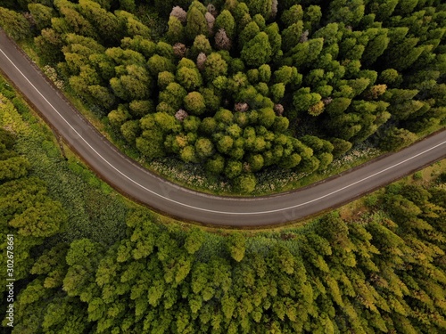 Top down view turn in the forest