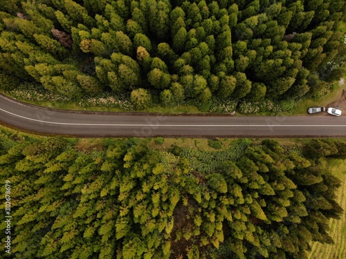 Top down view of road between trees