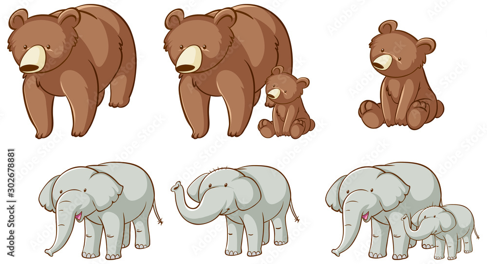 Fototapeta premium Isolated picture of bears and elephants