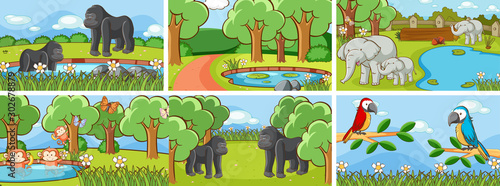 Background scenes of animals in the wild