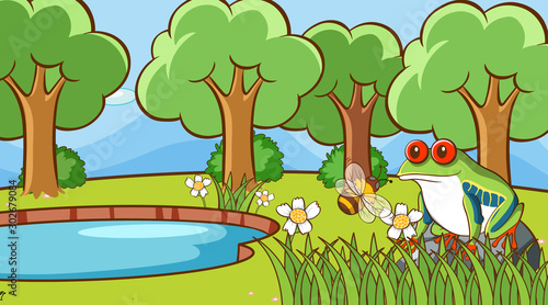 Scene with frog and bee in the park