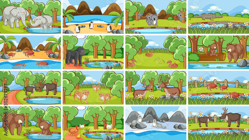 Background scenes of animals in the wild