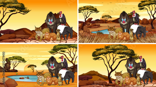 Four scenes with animals in the field