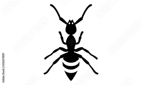 Ant illustration / Insect / Arthropod