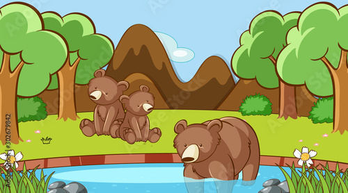 Scene with bears in the forest