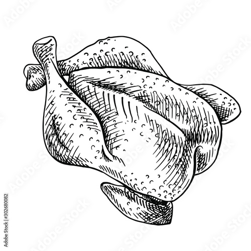 Chicken meat. Hand drawn sketch of fried hen. Linear sketch of the roasted chicken 