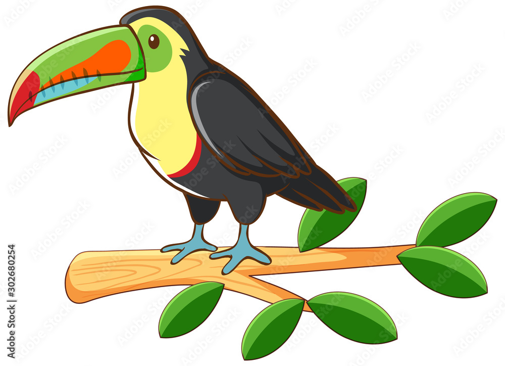 Fototapeta premium Toucan on white background