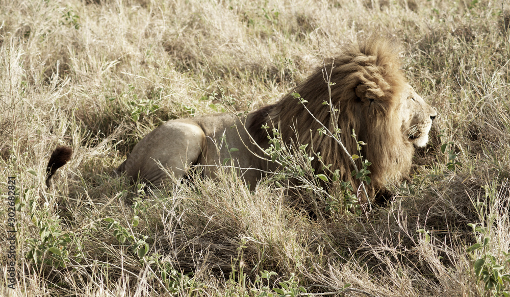 Ngorongoro y Tarangire