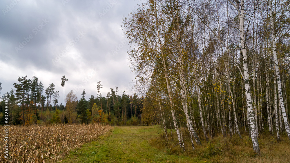 Puszcza Knyszyńska, Królowy Most, Rzeka Ploska