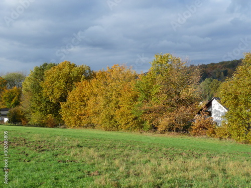 Lum 2019-11-09 Honnef 39 photo