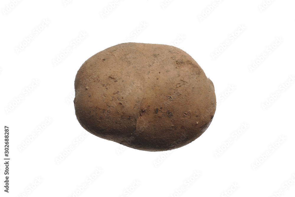 A dirty, unwashed fresh potato tuber is isolated on a white background. A dirty, unwashed fresh potato tuber is isolated on a white background.