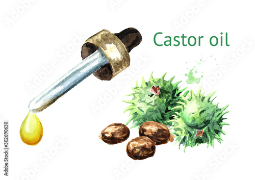 Castor oil drop with  Green castor fruits and seeds. Watercolor hand drawn illustration, isolated on white background photo