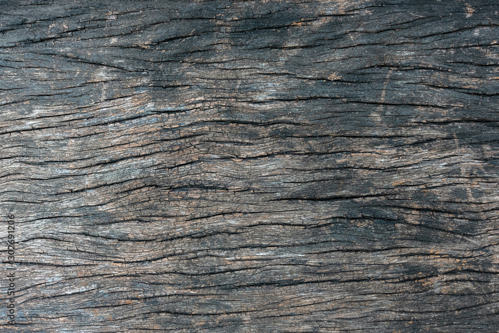 Old wood texture background with copy space for text. Old wood texture background with copy space for text.