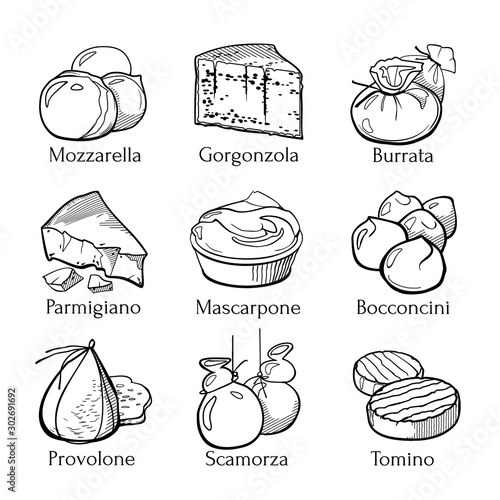 Collection of traditional Italian cheese. Hand drawn sketch in doodle style.