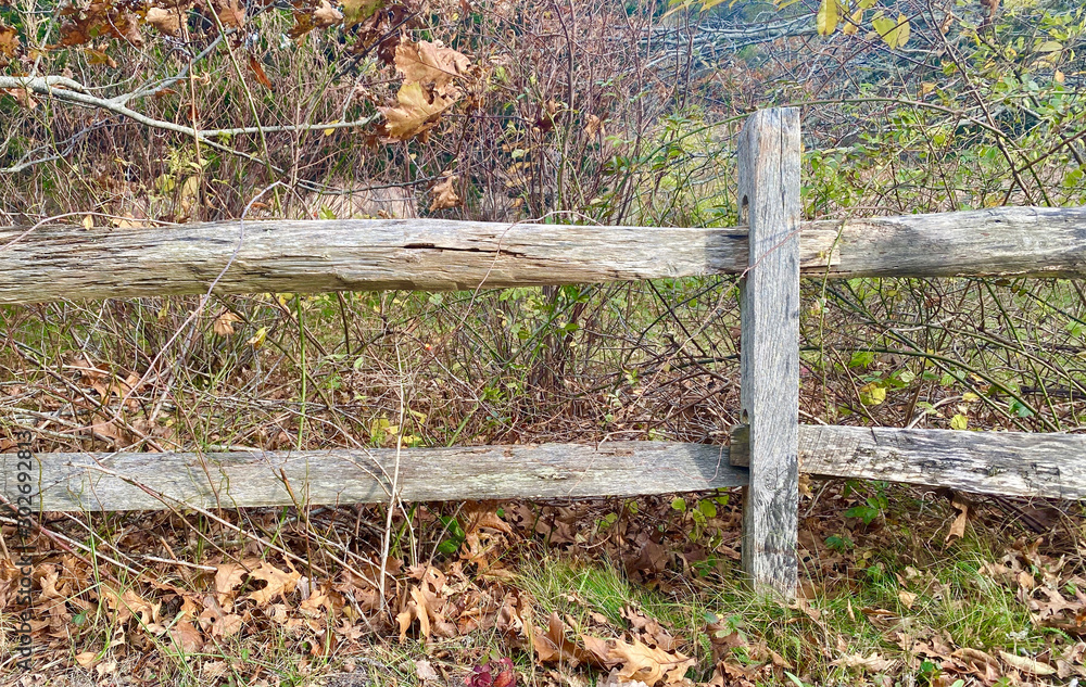 Fototapeta premium New England Split Rail Fence