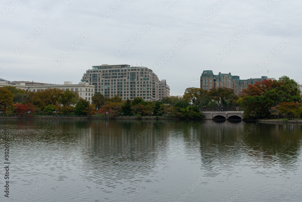Buildings and a Bridge on the Shore of the Tidal Basin in Washington D.C.