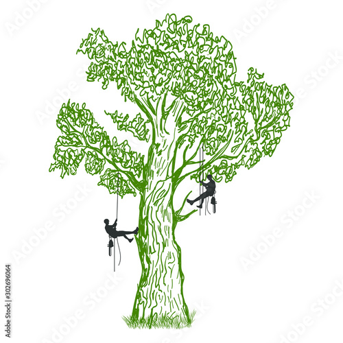 Tall tree with two climbers on a white background. Vector.