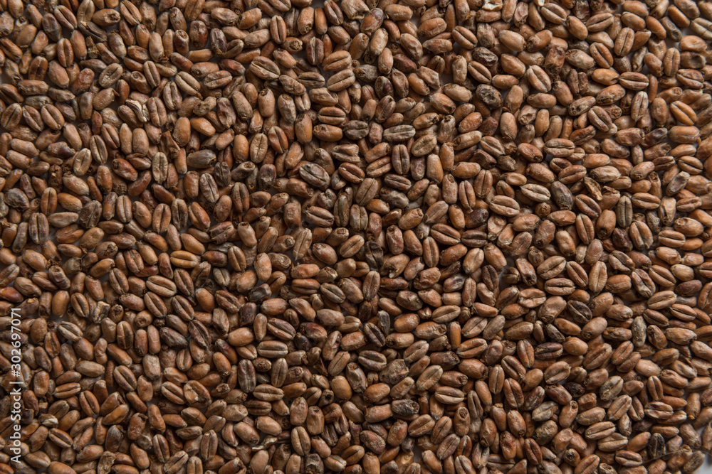 Wheat for alcohol production. Wheat background. Top view, flat lay Wheat for alcohol production. Wheat background. Top view, flat lay