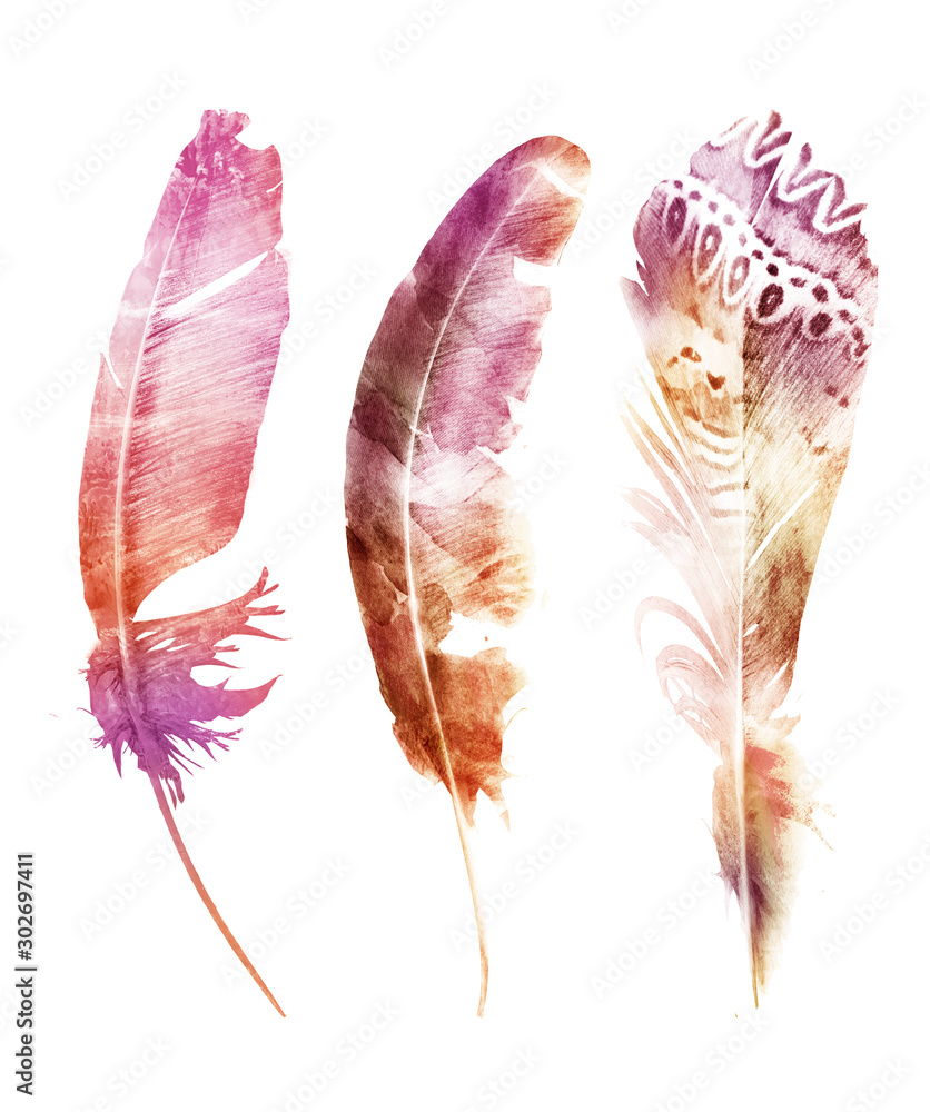 Obraz Three watercolor feathers, isolated on white background