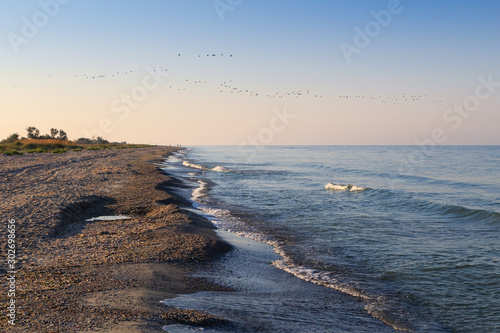 Wallpaper Mural sea ​​coast and blue sky, beach and birds in the sky Torontodigital.ca