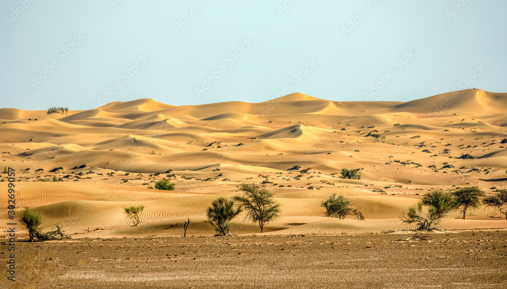 Obraz premium landscape in the desert