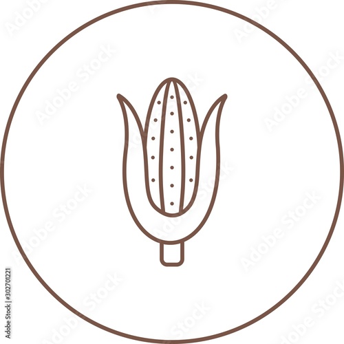 Beautiful Corn Line Vector Icon photo