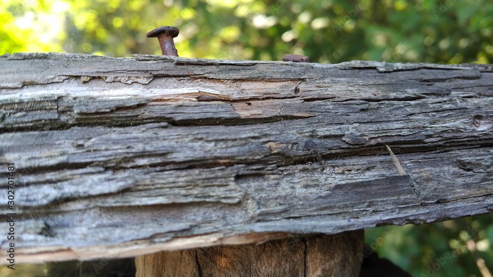 Embossed wood surface texture. Macro shooting background. Embossed wood surface texture. Macro shooting background.