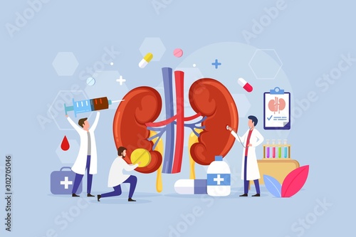 Modern process Kidney inner organs disease treatment design concept with Tiny People Character Vector Illustration