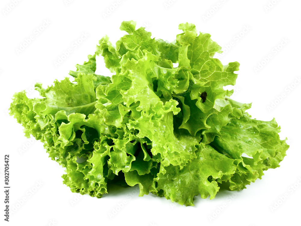 Fresh lettuce isolated on a white background,element of food healthy nutrients and herb vegetable ingredient concept  - obrazy, fototapety, plakaty 