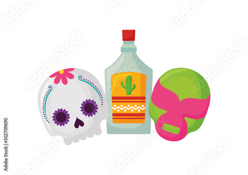 tequila bottle, traditional Mexican drink in white background