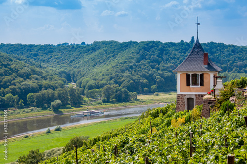 Elbtal Bosel Spaargebirge Weinanbau - Meißen, Dresden, Sachsen photo