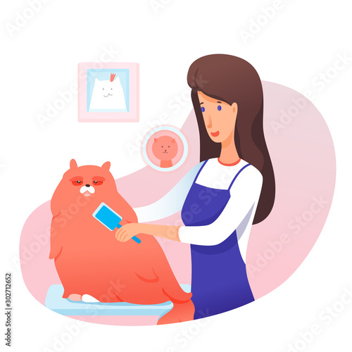 Female groomer comb out big fluffy cat cartoon