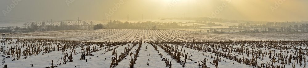 Naklejka premium Ośnieżone pola - zimowa panorama
