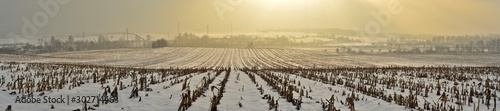 Fototapeta Naklejka Na Ścianę i Meble -  Ośnieżone pola - zimowa panorama