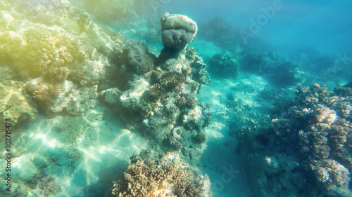 Wallpaper Mural Amazing colors of underwater world Torontodigital.ca