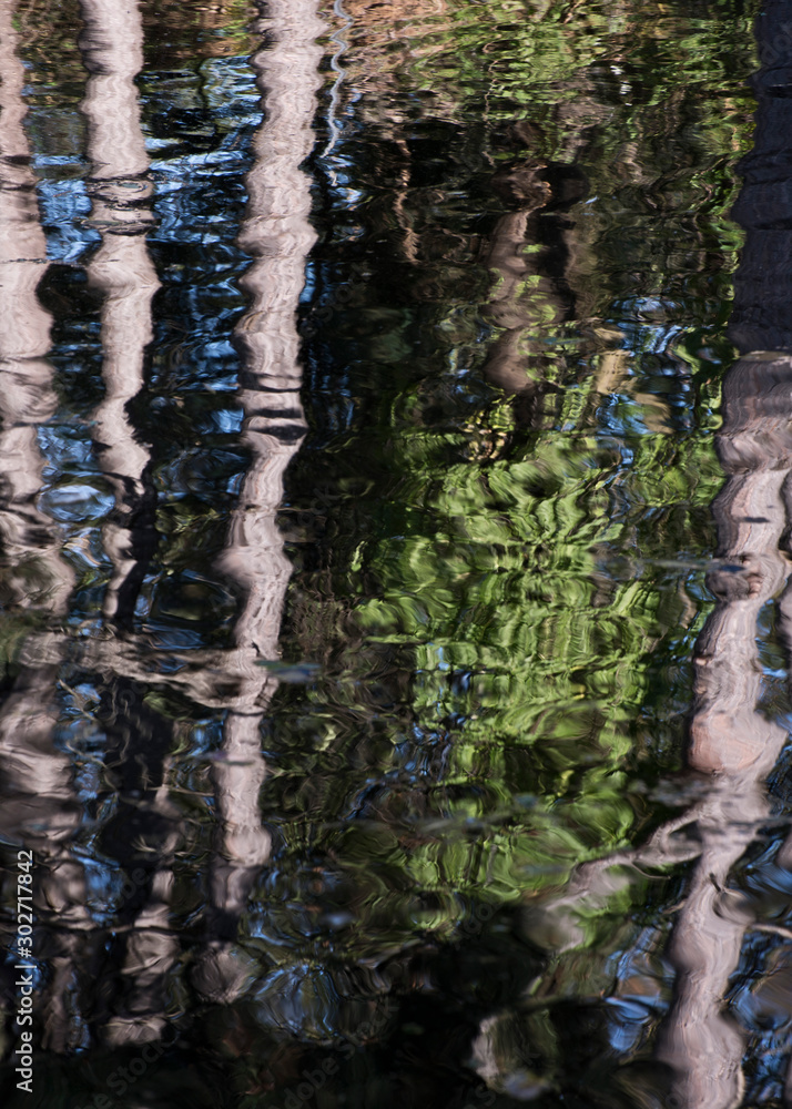 Reflection of woodland Reflection of woodland