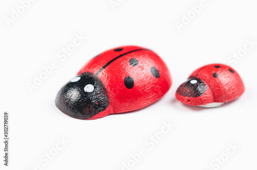 Red ladybug isolated on white background.Kids toy