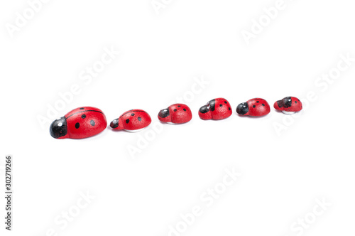 Red ladybug isolated on white background.Kids toy