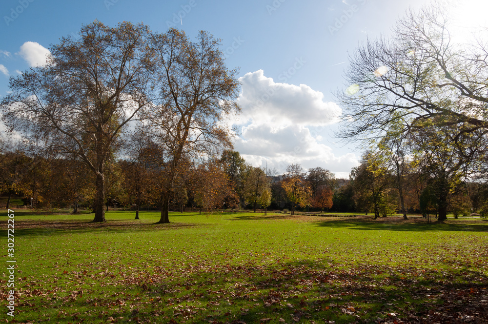 Fototapeta premium Parque con tonos de otoño