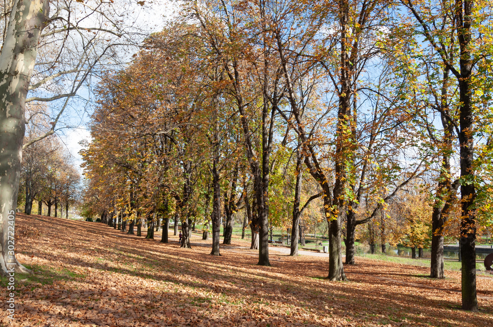 Parque con tonos de otoño