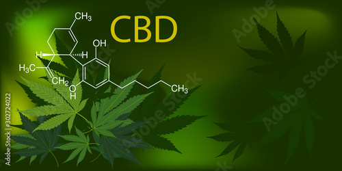 CBD, Chemical formula of Cannabidiol on green medical marijuana leaves on dark vector background.