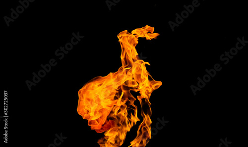 Fire flames on black background. fire on black background isolated. fire patterns