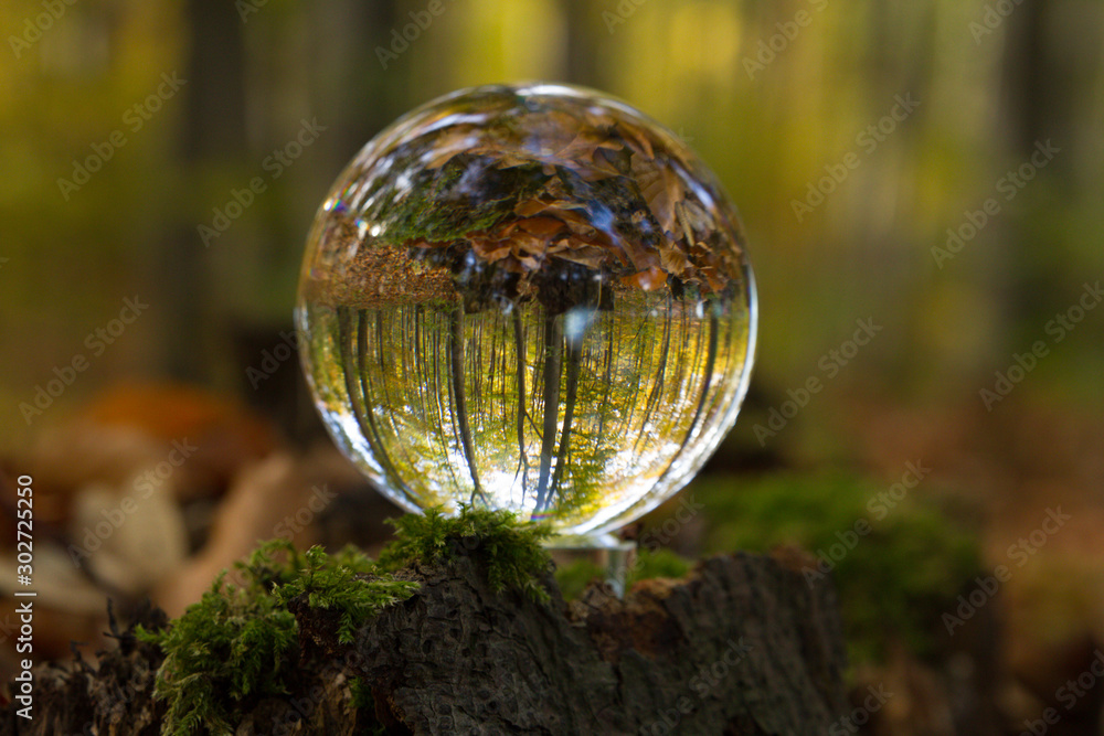 Herbst, Wald, Naherholung, Natur im Wandel Herbst, Wald, Naherholung, Natur im Wandel