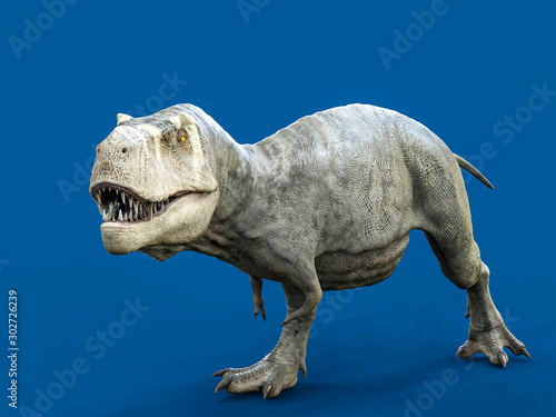 tyrannosaurus rex isolated