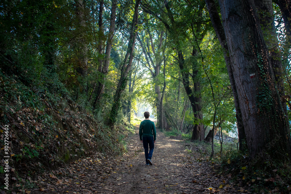lonely man walking on an enchanted forest lonely man walking on an enchanted forest