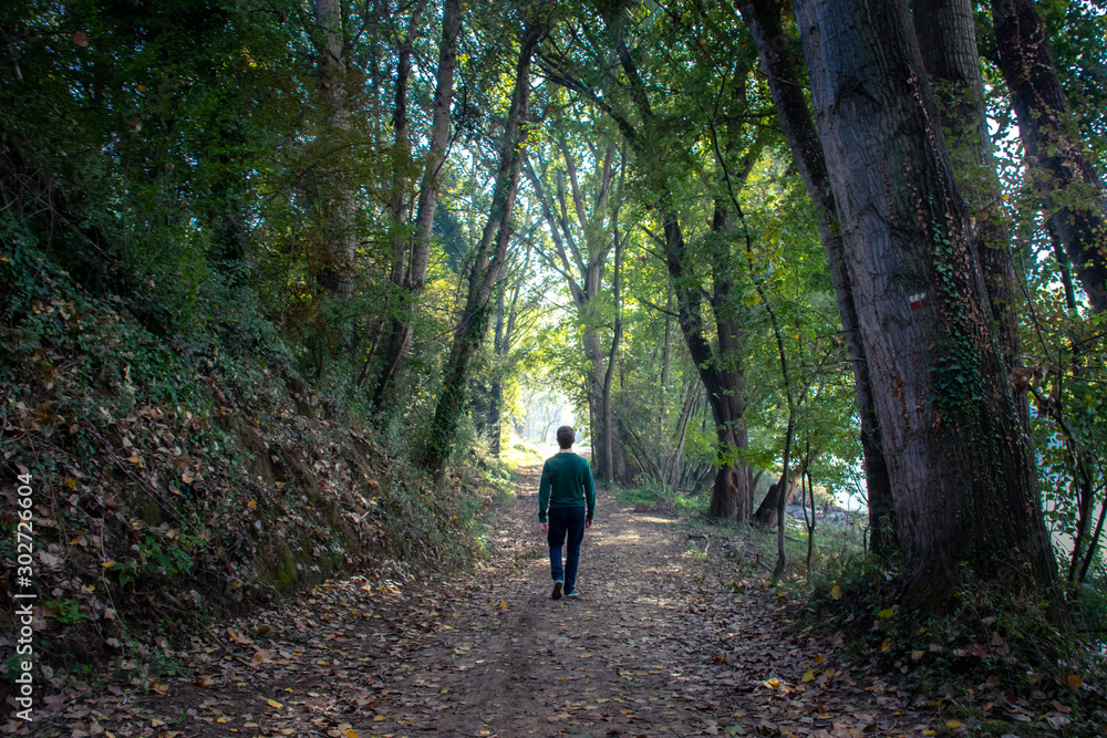 lonely man walking on an enchanted forest lonely man walking on an enchanted forest