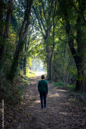 lonely man walking on an enchanted forest